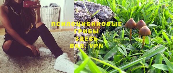 бошки Богородицк