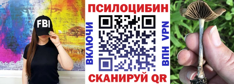 Галлюциногенные грибы мицелий  blacksprut зеркало  Бирюч 